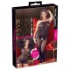 Minikleid, semi-transparent mit Spitze, auch als Catsuit ouvert tragbar