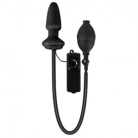 Analplug