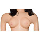 Lovedoll Leticia