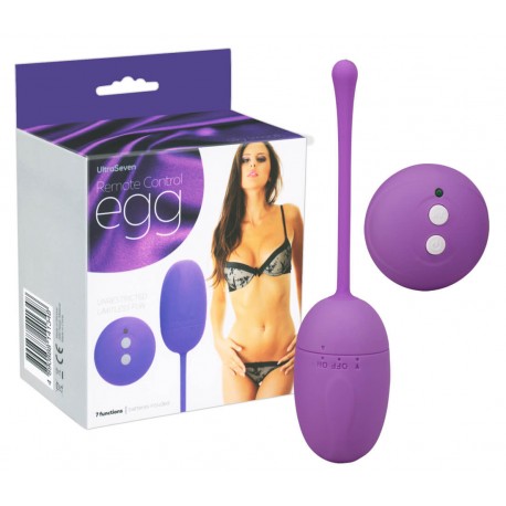 Remote Control Egg