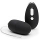 Remote Control Egg