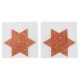 Nipplesticker »Titty Sticker Star Big Copper«, 2 Stück