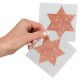 Nipplesticker »Titty Sticker Star Big Copper«, 2 Stück