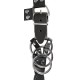 Leder-Riemen mit 3 Penisringen und abschraubbarem Analplug