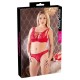 BH plus String aus Spitze