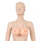 Brüste mit Halter, Silikon
