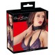 Halsband und Flogger